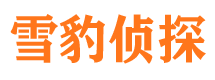 丰镇市侦探调查公司